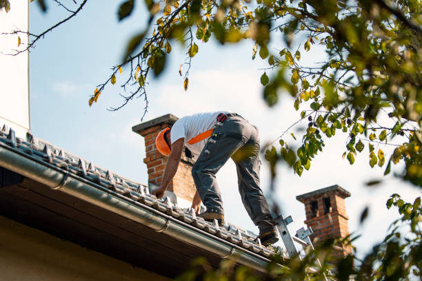 Best Roof Gutter Cleaning  in Madisonville, LA